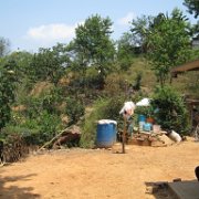 Cuauxicala _huauchinango20